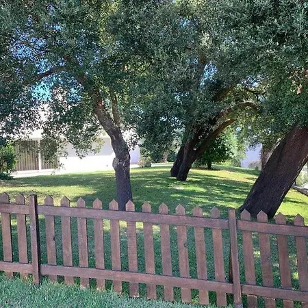 Casa Do Pinheiro * Fiães